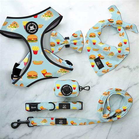 Pet Accessories 